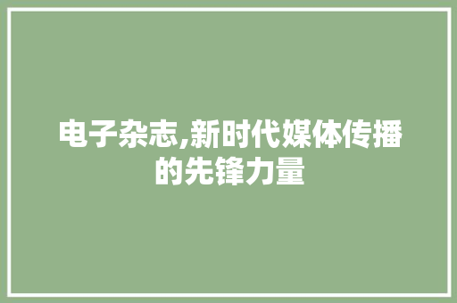 电子杂志,新时代媒体传播的先锋力量