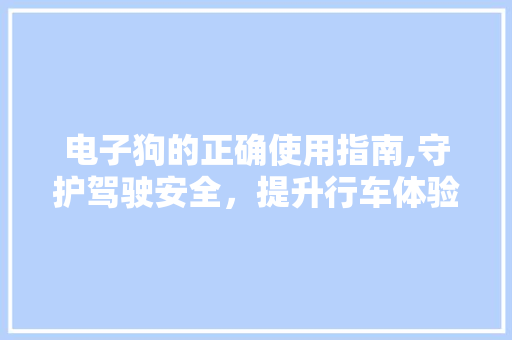 电子狗的正确使用指南,守护驾驶安全，提升行车体验
