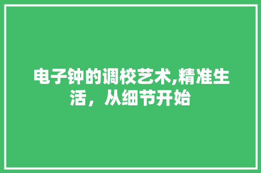 电子钟的调校艺术,精准生活，从细节开始