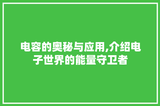 电容的奥秘与应用,介绍电子世界的能量守卫者