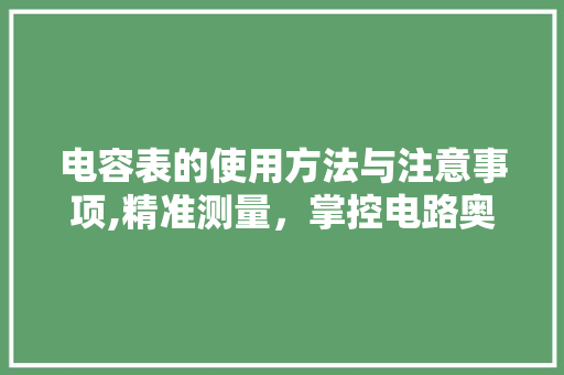 电容表的使用方法与注意事项,精准测量，掌控电路奥秘