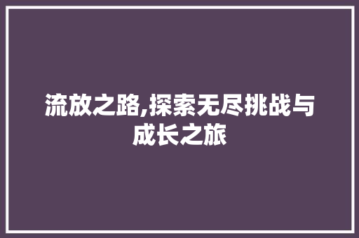流放之路,探索无尽挑战与成长之旅 网络技术