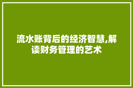 流水账背后的经济智慧,解读财务管理的艺术 网络技术