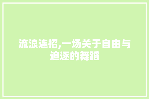 流浪连招,一场关于自由与追逐的舞蹈 电脑配置