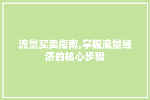 流量买卖指南,掌握流量经济的核心步骤 电脑配置