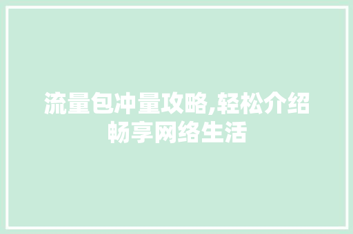 流量包冲量攻略,轻松介绍畅享网络生活 编程语言