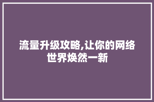 流量升级攻略,让你的网络世界焕然一新 网络技术
