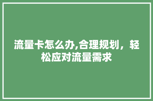 流量卡怎么办,合理规划，轻松应对流量需求 编程语言