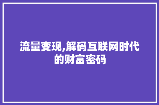 流量变现,解码互联网时代的财富密码 编程语言