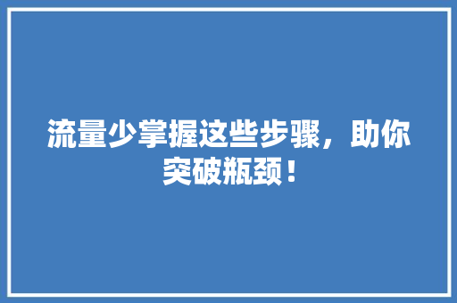 流量少掌握这些步骤，助你突破瓶颈！ 电脑配置