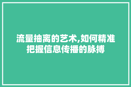流量抽离的艺术,如何精准把握信息传播的脉搏 网络技术
