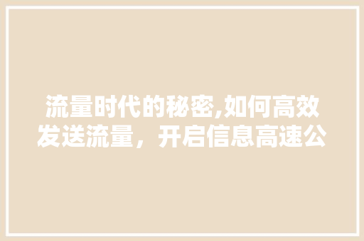 流量时代的秘密,如何高效发送流量，开启信息高速公路 网络技术