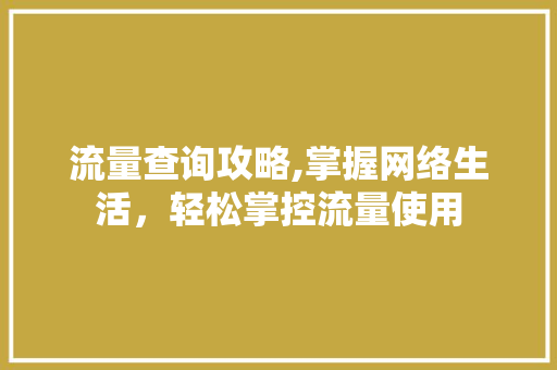 流量查询攻略,掌握网络生活,轻松掌控流量使用 网络技术 流量查询攻略,掌握网络生活,轻松掌控流量使用 网络技术