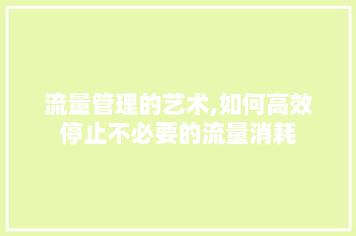 流量管理的艺术,如何高效停止不必要的流量消耗 电脑配置 流量管理的艺术,如何高效停止不必要的流量消耗 电脑配置