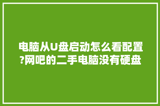 电脑从U盘启动怎么看配置?网吧的二手电脑没有硬盘的前提下「电脑配置看明白怎么看的」 电脑从U盘启动怎么看配置?网吧的二手电脑没有硬盘的前提下「电脑配置看明白怎么看的」 电脑基础
