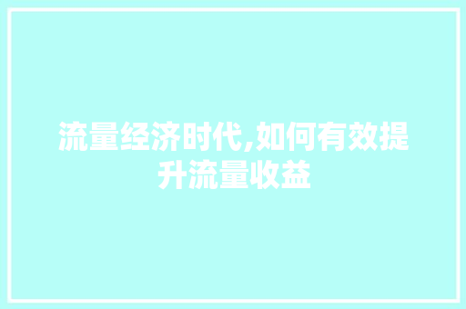 流量经济时代,如何有效提升流量收益 电脑配置