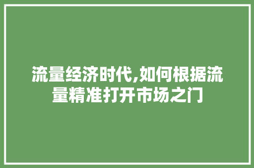 流量经济时代,如何根据流量精准打开市场之门 编程语言
