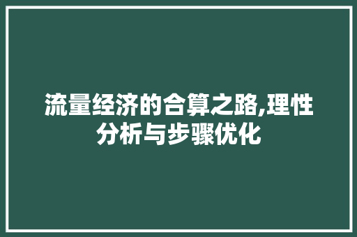 流量经济的合算之路,理性分析与步骤优化 网络技术
