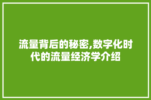 流量背后的秘密,数字化时代的流量经济学介绍 编程语言