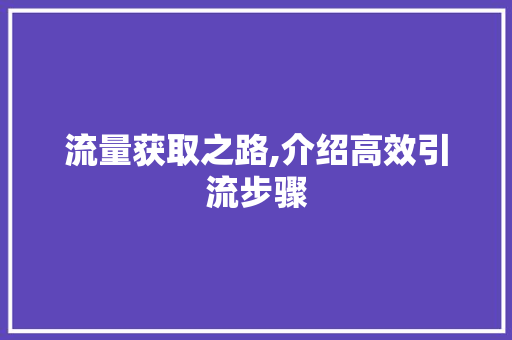 流量获取之路,介绍高效引流步骤 编程语言