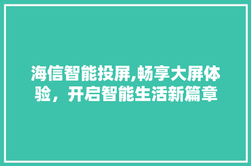 海信智能投屏,畅享大屏体验，开启智能生活新篇章
