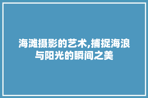 海滩摄影的艺术,捕捉海浪与阳光的瞬间之美 网络技术