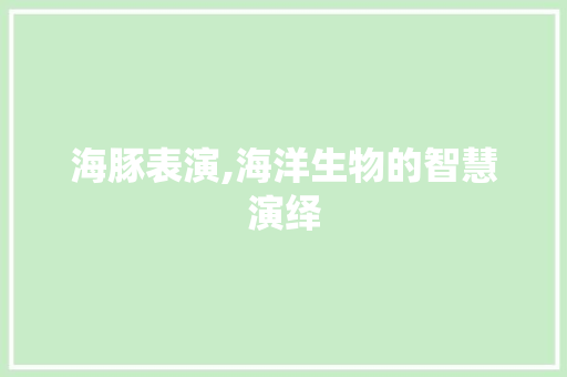 海豚表演,海洋生物的智慧演绎 电脑故障维修 海豚表演,海洋生物的智慧演绎 电脑故障维修