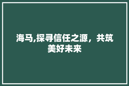 海马,探寻信任之源，共筑美好未来 电脑故障维修