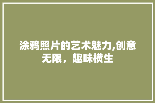 涂鸦照片的艺术魅力,创意无限，趣味横生