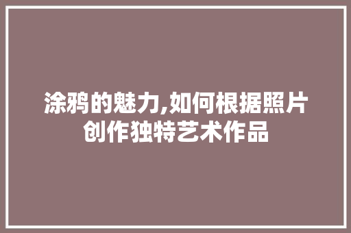 涂鸦的魅力,如何根据照片创作独特艺术作品