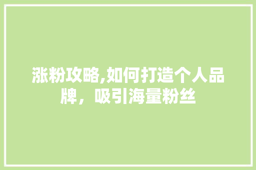 涨粉攻略,如何打造个人品牌，吸引海量粉丝
