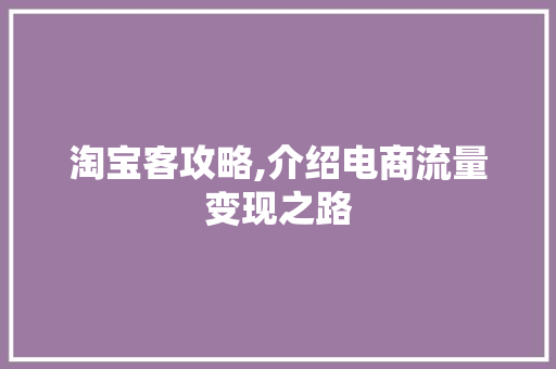 淘宝客攻略,介绍电商流量变现之路 网络技术