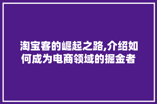 淘宝客的崛起之路,介绍如何成为电商领域的掘金者 网络技术 淘宝客的崛起之路,介绍如何成为电商领域的掘金者 网络技术