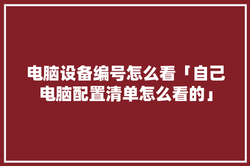 电脑设备编号怎么看「自己电脑配置清单怎么看的」 电脑设备编号怎么看「自己电脑配置清单怎么看的」 电脑配置