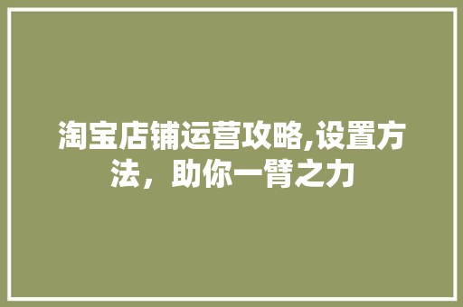 淘宝店铺运营攻略,设置方法，助你一臂之力 电脑故障维修