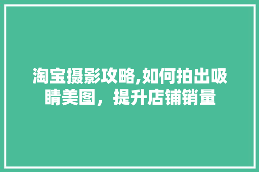 淘宝摄影攻略,如何拍出吸睛美图，提升店铺销量 网络技术