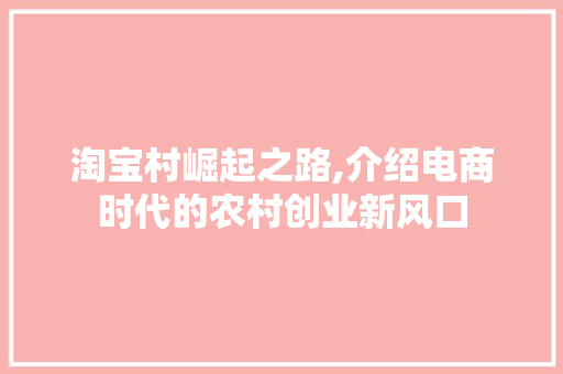 淘宝村崛起之路,介绍电商时代的农村创业新风口 电脑基础