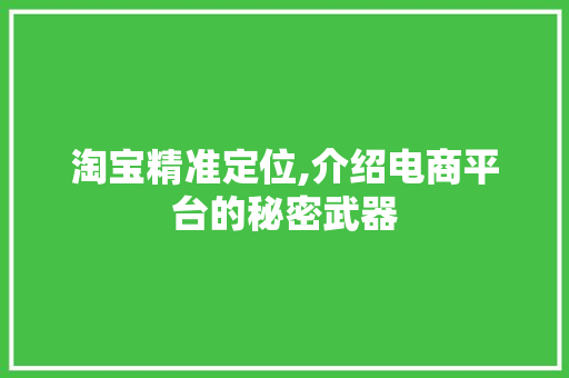淘宝精准定位,介绍电商平台的秘密武器 电脑基础