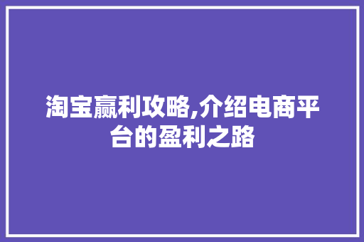 淘宝赢利攻略,介绍电商平台的盈利之路