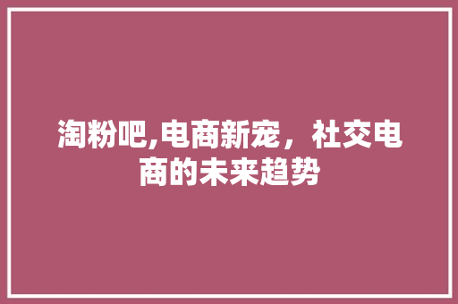 淘粉吧,电商新宠，社交电商的未来趋势