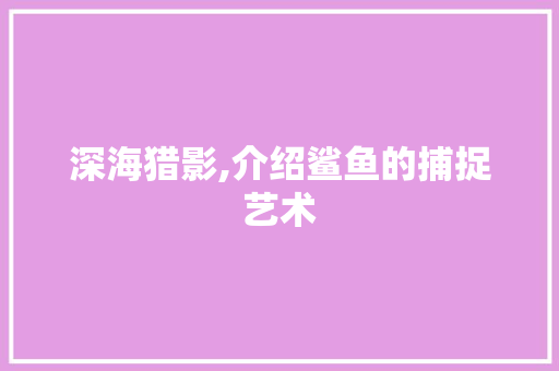 深海猎影,介绍鲨鱼的捕捉艺术