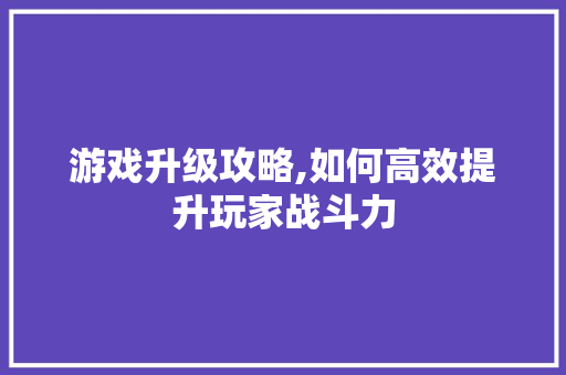游戏升级攻略,如何高效提升玩家战斗力 电脑故障维修