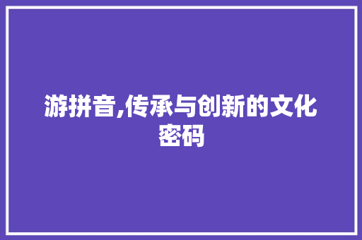 游拼音,传承与创新的文化密码 电脑故障维修