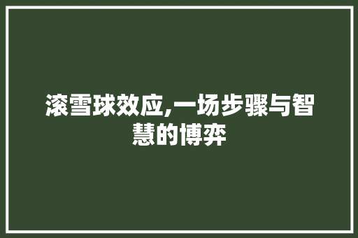 滚雪球效应,一场步骤与智慧的博弈 电脑基础 滚雪球效应,一场步骤与智慧的博弈 电脑基础