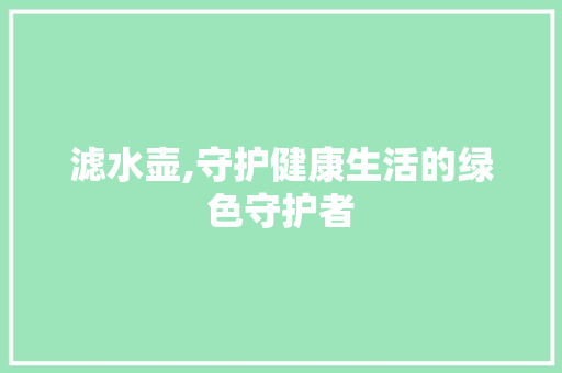 滤水壶,守护健康生活的绿色守护者 电脑基础