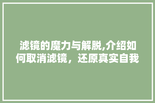 滤镜的魔力与解脱,介绍如何取消滤镜，还原真实自我 电脑故障维修