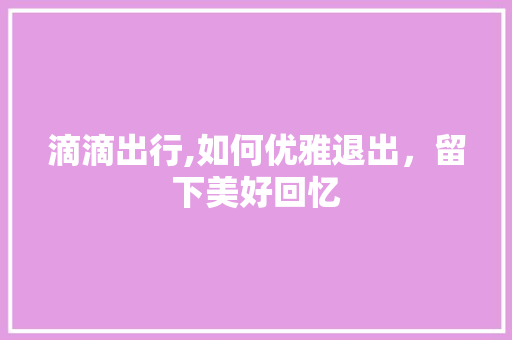 滴滴出行,如何优雅退出，留下美好回忆 网络技术