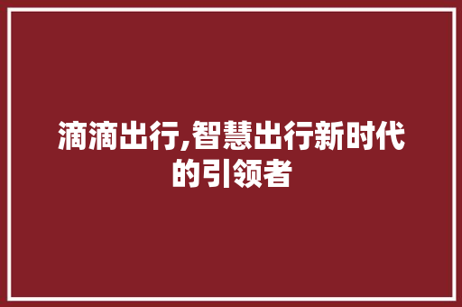 滴滴出行,智慧出行新时代的引领者 电脑基础