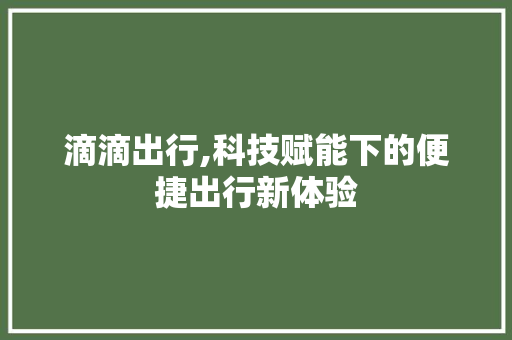 滴滴出行,科技赋能下的便捷出行新体验 网络技术