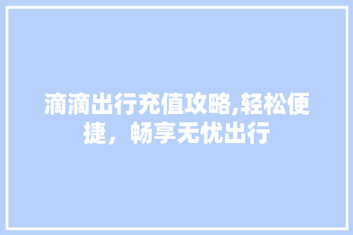 滴滴出行充值攻略,轻松便捷，畅享无忧出行 网络技术